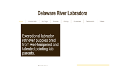 Desktop Screenshot of delawareriverlabradors.com